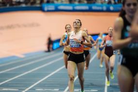 Imatge 2. Butlletí - Setmana 26 de març al 2 de abril