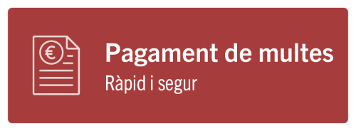 Imatge Portal tributari