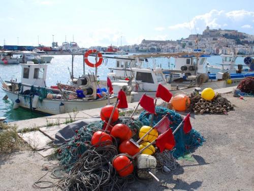 muellepesquero2-733x550