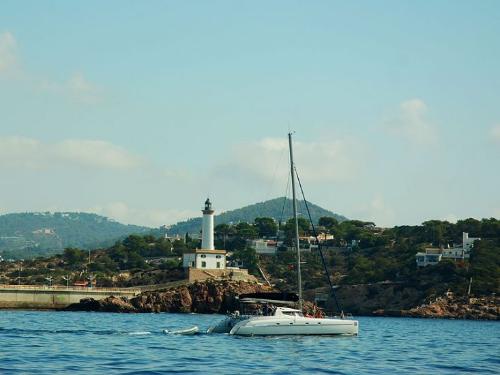 farobotafoc3-733x550