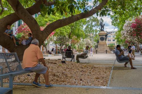 SaAlamera-06-2017-29media-1024x682