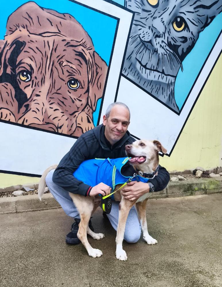 Imatge La història de Rex: un exemple de recuperació i adopció a Sa Coma