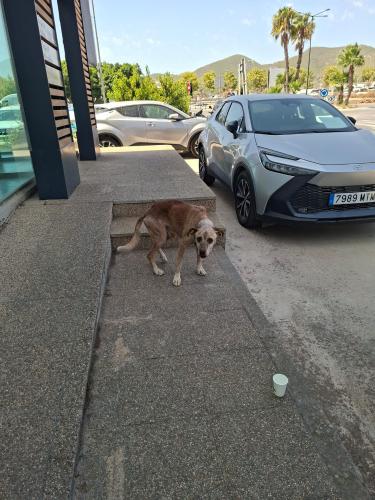 88a2ec61-987d-40d8-a8f1-a3aba2e07e36