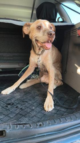 58ea2a6a-1b8d-4ff2-9931-3249f39bdcce