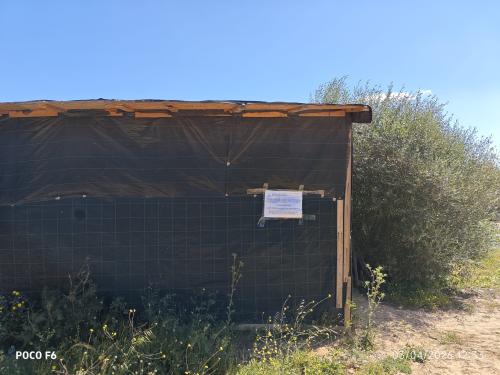 Notificación Sa Joveria 2