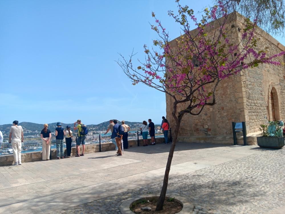Imagen Medita o haz yoga en el Mirador de Jaume I en la Plaza de la Catedral.