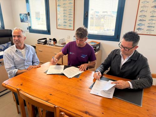 Cofradia de Pescadores (1)