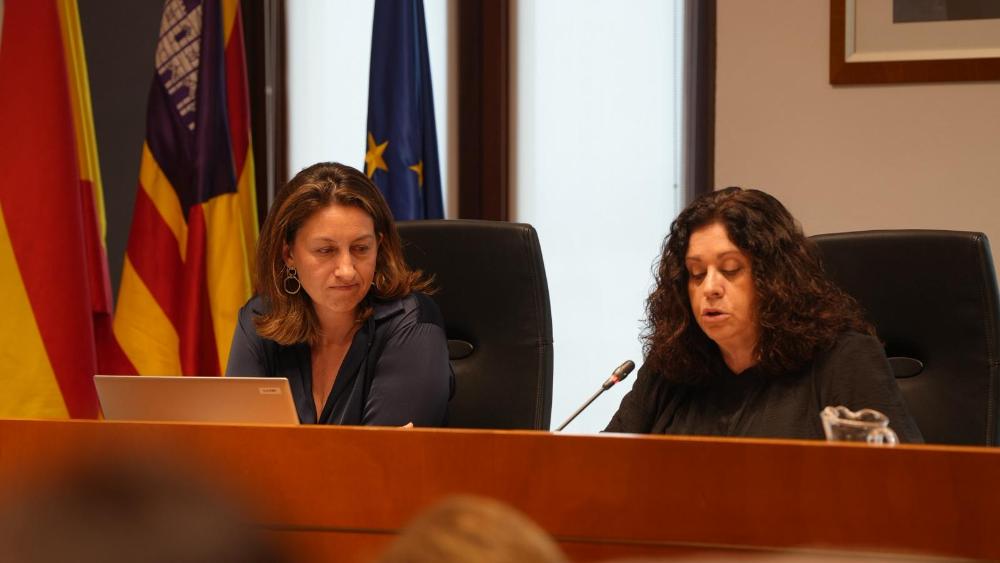 Imatge Eivissa aprova la carrera professional dels seus tres patronats i...