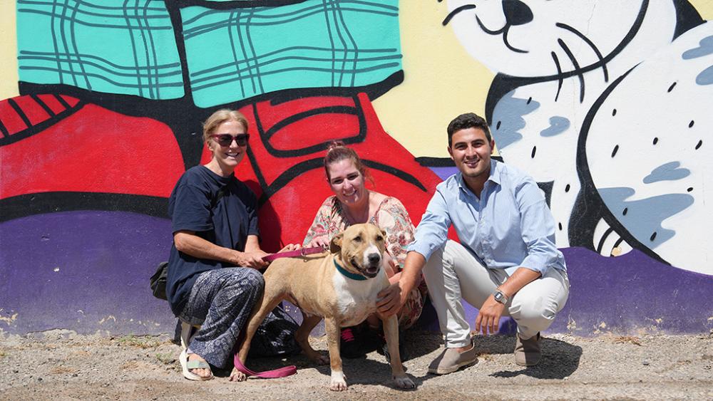 Imatge Pumba troba una nova família després de cinc anys al Centre de Protecció...
