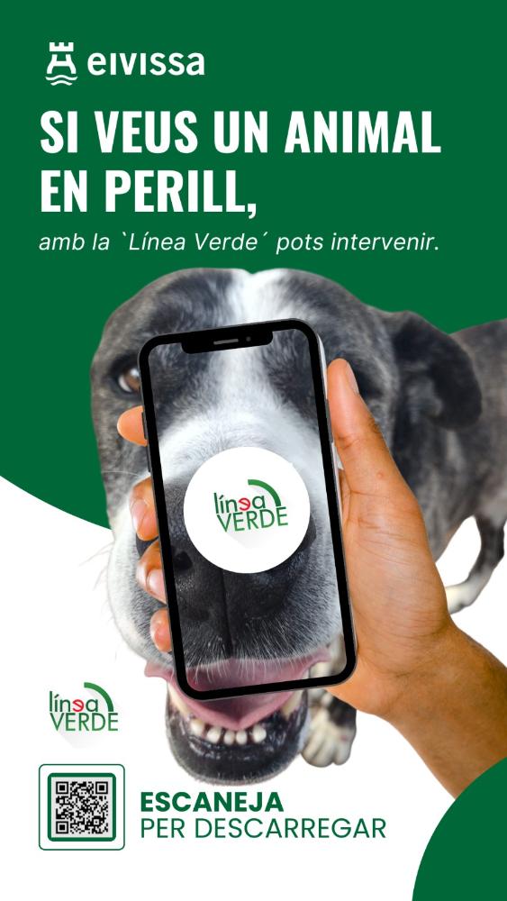 Imagen Eivissa incorpora las denuncias anónimas sobre bienestar animal en su Línea Verde