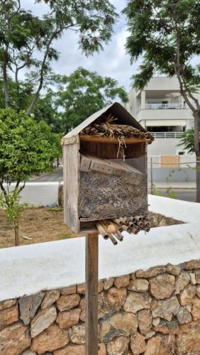 Can Casals hotel insectos