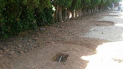 Imagen Instalación de un circuito de máquinas biosaludables de gimnasia en el Parque de la Paz