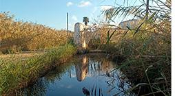 Imagen El Ayuntamiento de Eivissa finaliza el desbroce y dragado de los canales de ses Feixes des Prat de ses Monges.