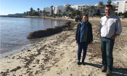 Imagen La posidonia vuelve a las playas