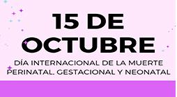 Imagen El Ayuntamiento d'Eivissa colabora con el colectivo Tribu de estrellas con motivo del Día internacional de la muerte gestacional, perinatal y neonatal