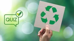 Imagen Eivissa + limpia (Quiz)