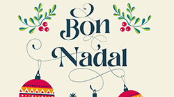 Copa de Navidad de Natación
