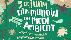 Dia Medi Ambient